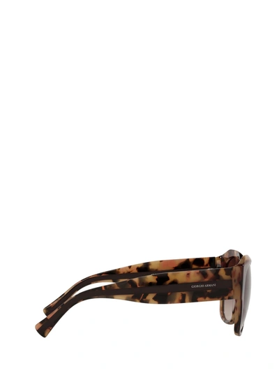Shop Giorgio Armani Sunglasses In Brown Tortoise