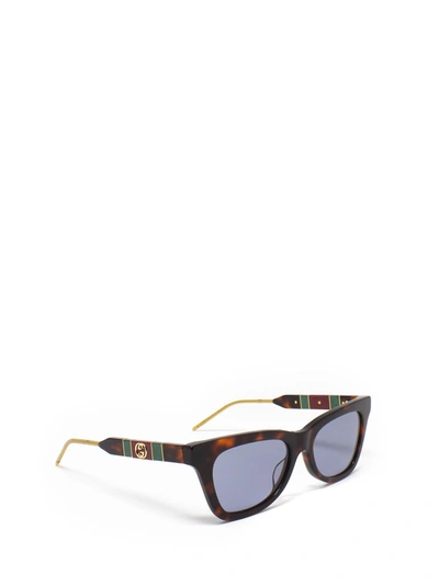 Shop Gucci Eyewear Sunglasses In Havana