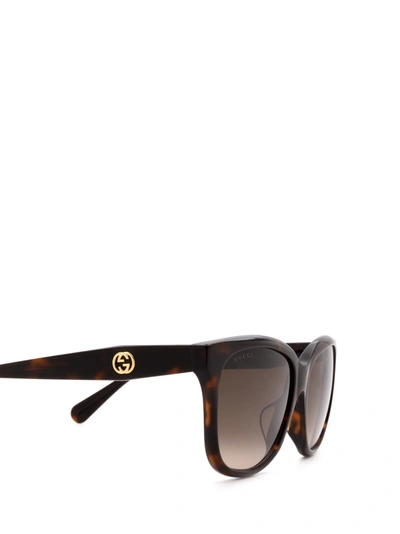 Shop Gucci Eyewear Sunglasses In Havana