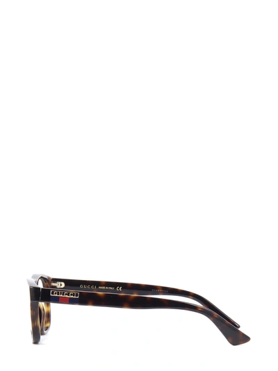 Shop Gucci Eyewear Eyeglasses In Dark Havana