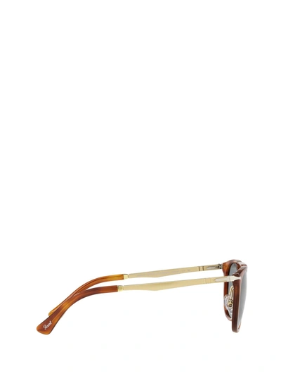 Shop Persol Sunglasses In Terra Di Siena