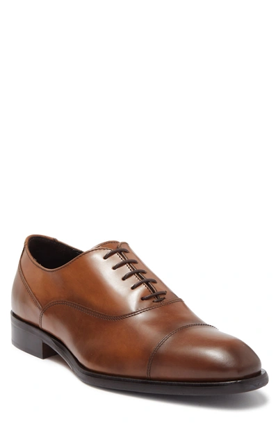 Shop To Boot New York Firenza Cap Toe Leather Oxford In Cuoio