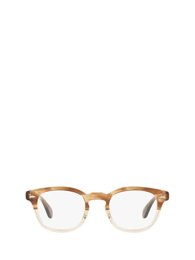 Shop Oliver Peoples Eyeglasses In Honey Vsb