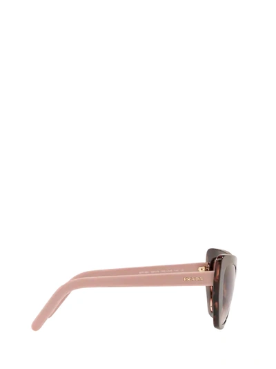 Shop Prada Eyewear Sunglasses In Brown / Spotted Pink