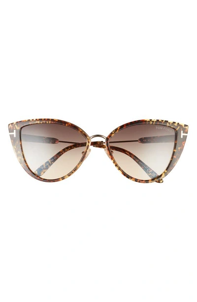 Shop Tom Ford Anjelica-02 57mm Cat Eye Sunglasses In Dhav/ Smkg