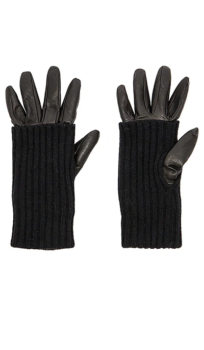 Shop Soia & Kyo Carmel Gloves In 黑色