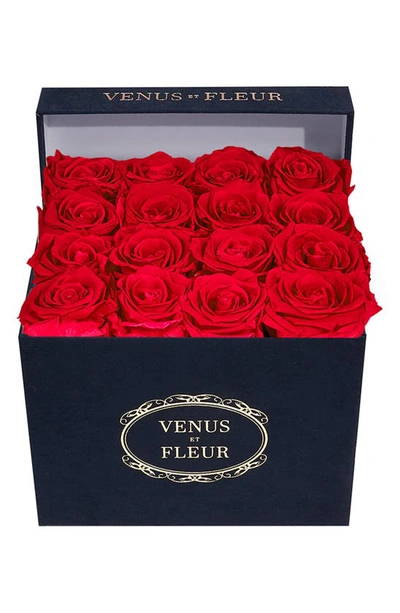 Shop Venus Et Fleur Classic Small Square Eternity Roses In Red