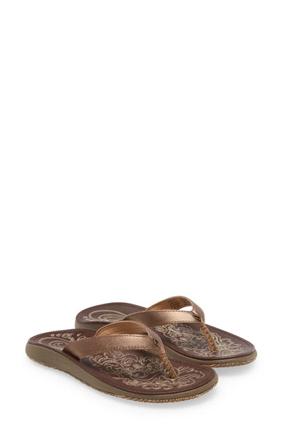 Shop Olukai Paniolo Flip Flop In Bronze/ Dark Java