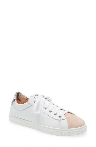 Shop Agl Attilio Giusti Leombruni Sade Sneaker In Penny-white