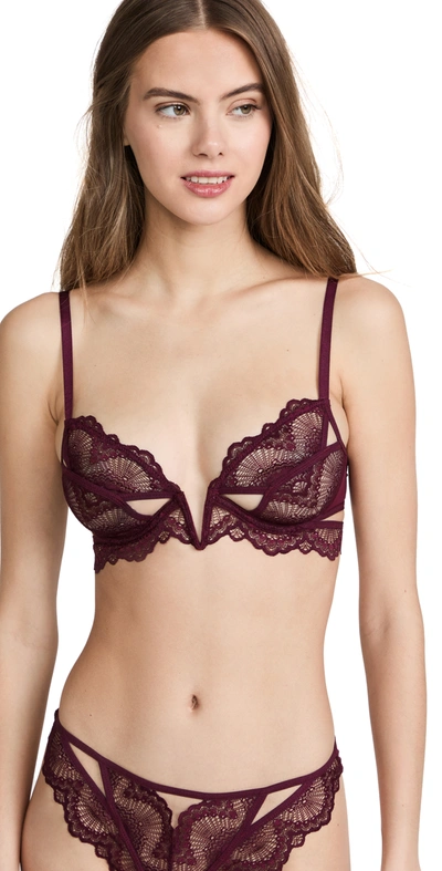 Shop Thistle And Spire Kane Bra Cherry