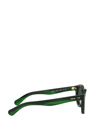 Shop Polo Ralph Lauren Sunglasses In Shiny Green Havana