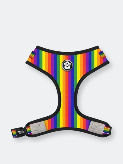 Shop Fresh Pawz Pride Flag | Adjustable Mesh Harness In Yellow