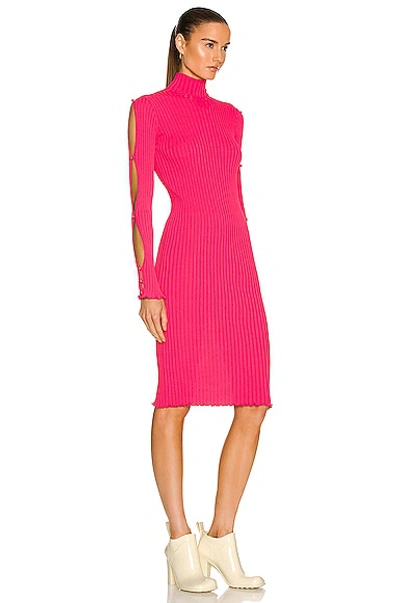 Shop Bottega Veneta Rib Knit Dress In Lollipop