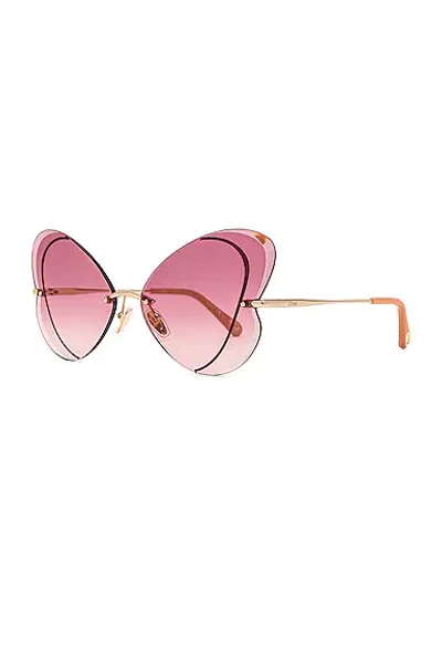 Shop Chloé Tayla Butterfly Sunglasses In Shiny Classic Gold