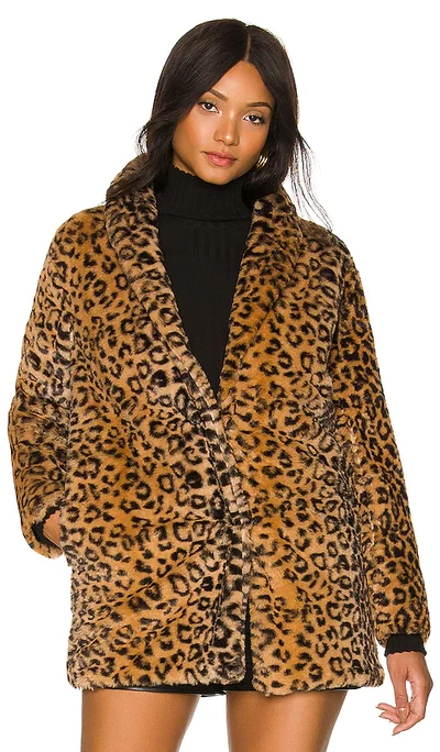 Shop Adrienne Landau Leopard Faux Fur Jacket In Tan