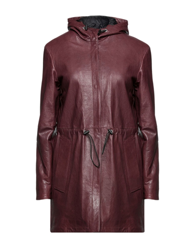 Shop Masterpelle Coats In Maroon