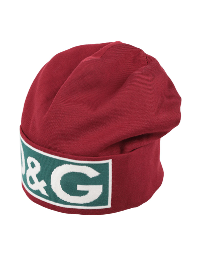 Shop Dolce & Gabbana Hats In Maroon