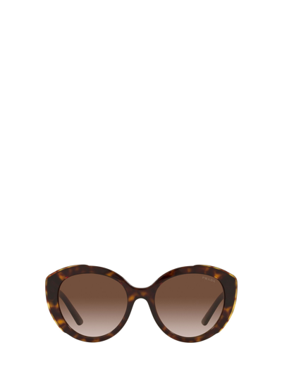 Shop Prada Pr 01ys Havana Sunglasses