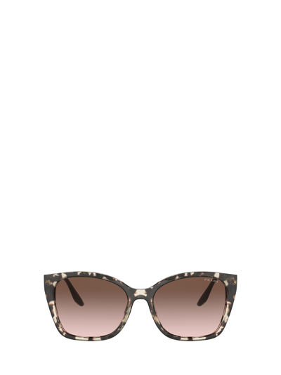 Shop Prada Pr 12xs Brown Sunglasses