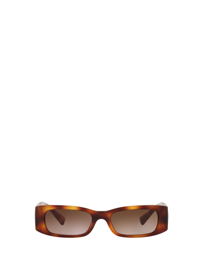 Shop Valentino Va4105 Havana Sunglasses