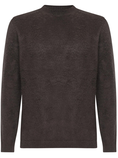 Shop Mauro Grifoni Grifoni Sweater In Brown