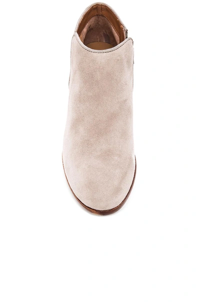 Shop Sam Edelman Petty Boot In Putty Suede