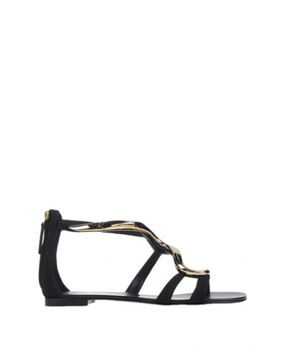 Giuseppe Zanotti In Black