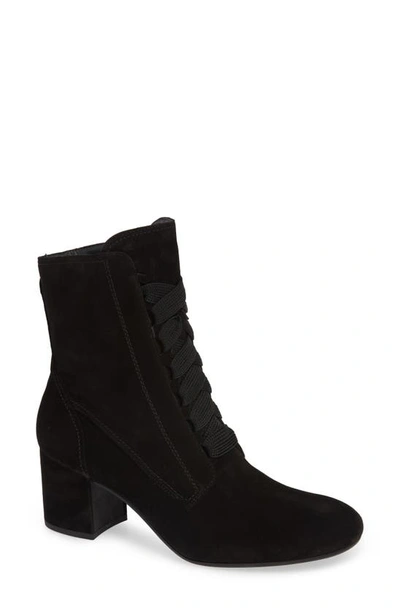 Shop Paul Green Tracy Lace-up Bootie In Black Suede