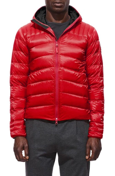 Shop Canada Goose Brookvale Slim Fit Hooded Down Jacket In Red/ Black