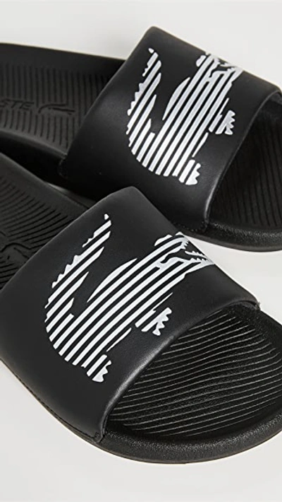 Shop Lacoste Croco Slides In Black/silver