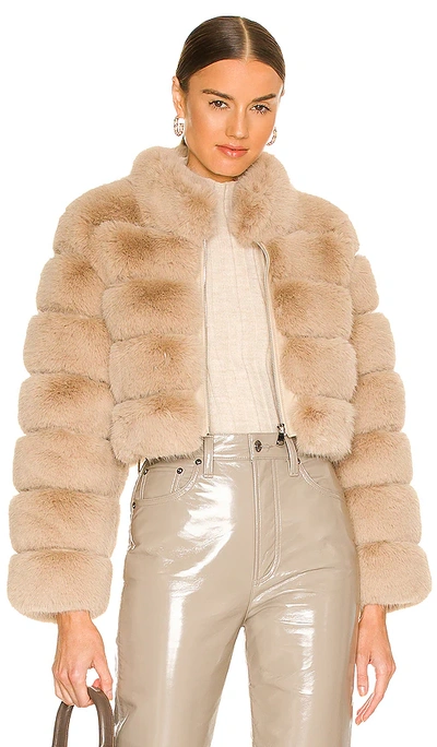 Shop Adrienne Landau Faux Fox Fur Jacket In 驼色