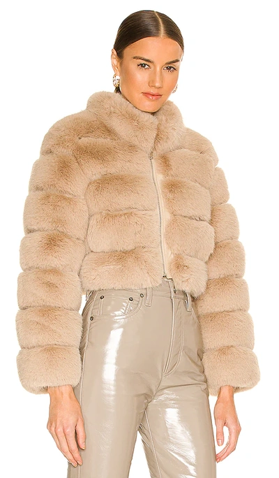 Shop Adrienne Landau Faux Fox Fur Jacket In 驼色