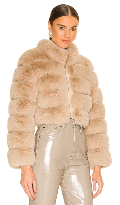 Adrienne Landau Faux Fox Fur Jacket In 驼色