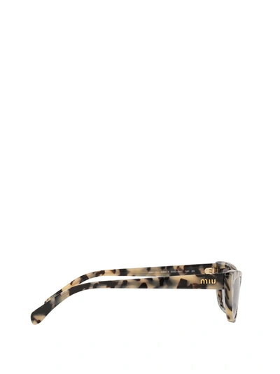 Shop Miu Miu Eyewear Sunglasses In Sand Havana Brown