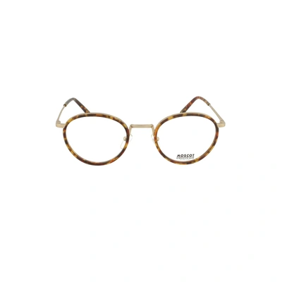 Shop Moscot Men's  Brown Acetate Glasses