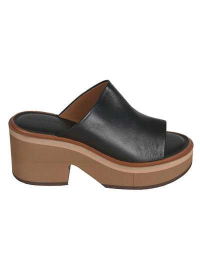 Shop Robert Clergerie Women's  Black Leather Sandals