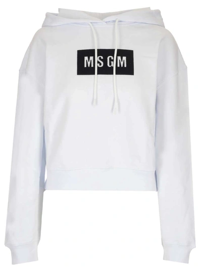 Shop Msgm Women's  White Cotton Sweatshirt