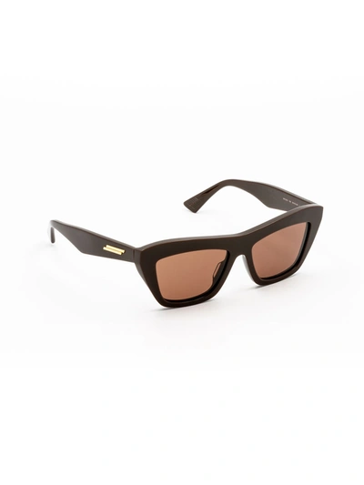 Shop Bottega Veneta Women's Brown Acetate Sunglasses