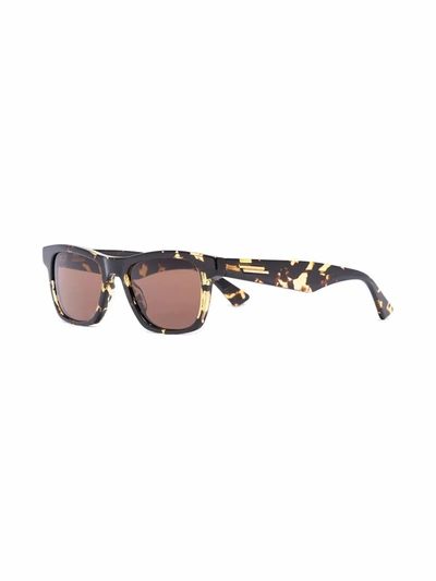 Shop Bottega Veneta Men's Brown Acetate Sunglasses