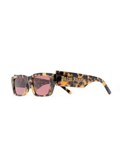Shop Palm Angels Sunglasses In Brown