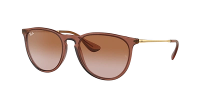Ray Ban Erika Classic Sunglasses Brown Frame Brown Lenses 54-18 In Braun Verlaufstönung