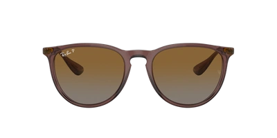 Ray Ban Ray In Brown Gradient Polar