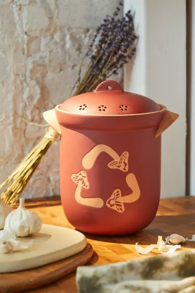 Shop Urban Outfitters Ceramic Compost Container In Rust