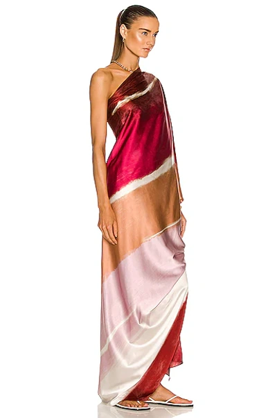 Shop Silvia Tcherassi Inu Tunic Dress In Gradient Plum