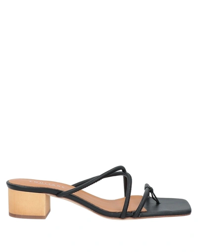 Shop Eqüitare Equitare Woman Thong Sandal Black Size 11 Textile Fibers