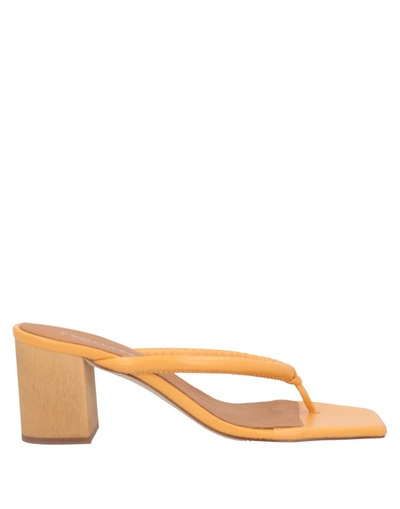 Shop Eqüitare Equitare Woman Thong Sandal Apricot Size 10 Textile Fibers In Orange