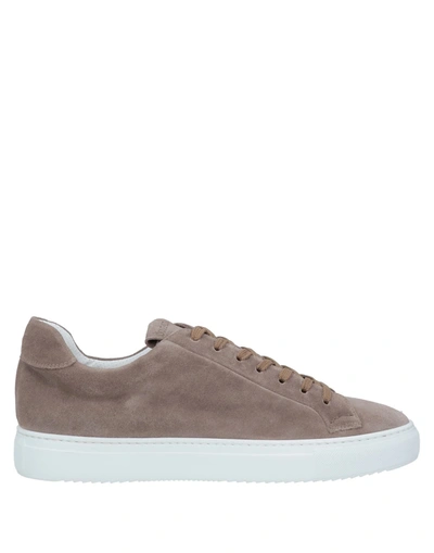 Shop Doucal's Sneakers In Dove Grey