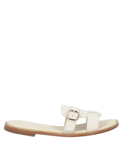 Shop Doucal's Woman Sandals Ivory Size 6.5 Leather In White