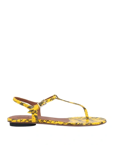 Shop L'autre Chose L' Autre Chose Woman Thong Sandal Yellow Size 6 Soft Leather