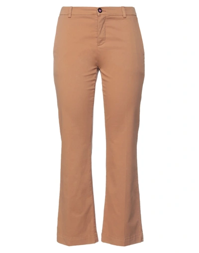 Shop I Love Mp Woman Pants Brown Size 30 Cotton, Elastane